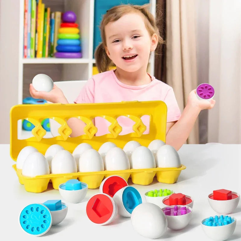 Matching Eggs Puzzle, Montessori Educational Toy for Early Learning and Shape Matching