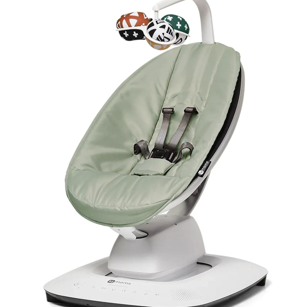 
                      
                        Mamaroo Multi-Motion Baby Swing
                      
                    